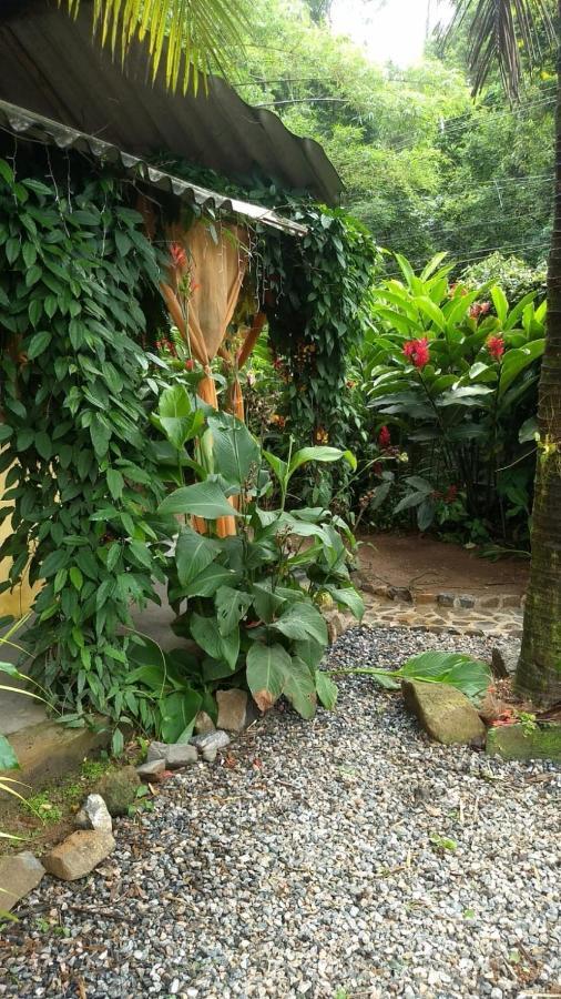 Suites Cocaia Ilhabela Exterior foto