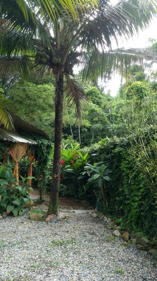 Suites Cocaia Ilhabela Exterior foto