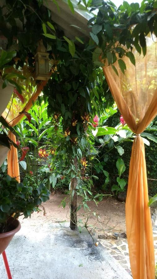 Suites Cocaia Ilhabela Exterior foto