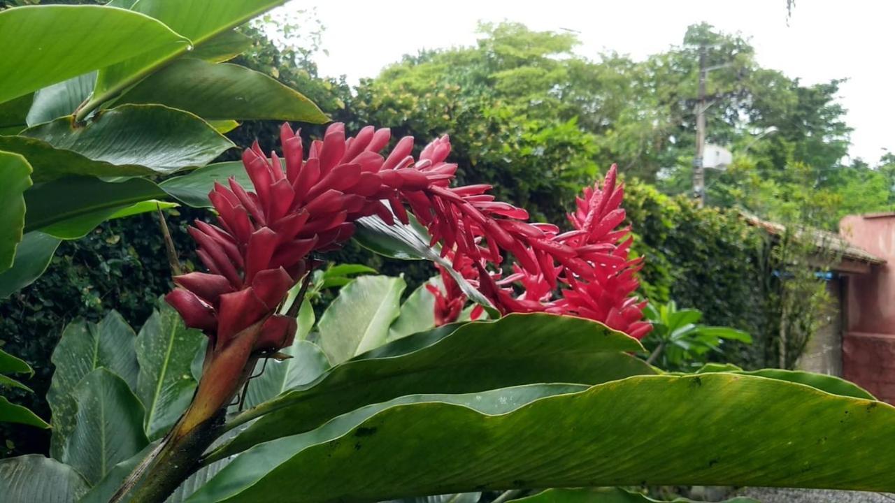Suites Cocaia Ilhabela Exterior foto
